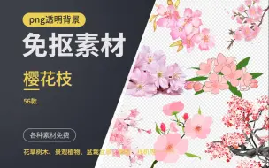 Download Video: 【设计素材分享】 精选樱花树枝免抠素材高清 png透明背景免抠图高素材 56张 三连自取 CP706-1