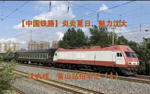 Download Video: 【中国铁路】炎炎夏日，魅力沈大 沈大线，首山站拍车记（十）