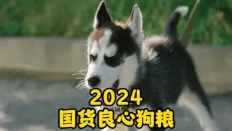 Descargar video: 推荐5款良心狗粮，都是2024的国货佼佼者！