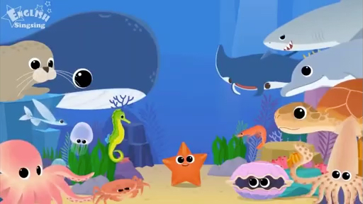 Sea Animals(Introduction)海洋动物介绍哔哩哔哩bilibili