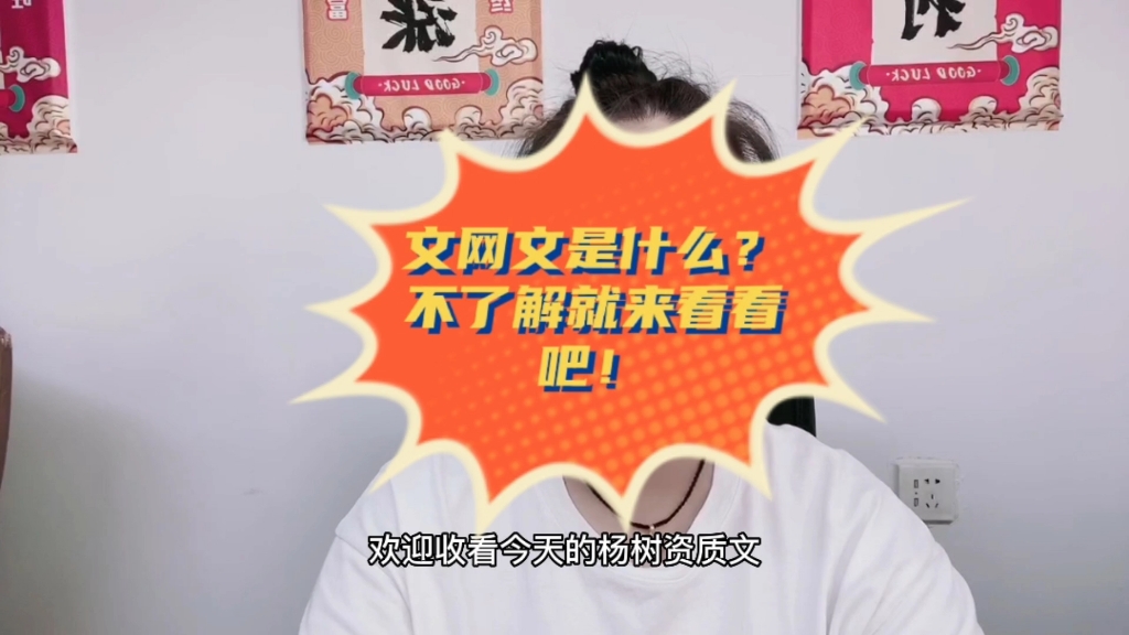 文网文是什么?不了解的进来看看吧!哔哩哔哩bilibili