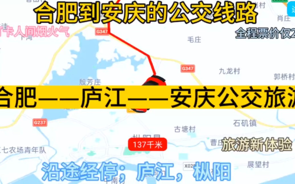 合肥开往安庆的公交线路来了,全程票价仅20元,沿途经过;庐江哔哩哔哩bilibili