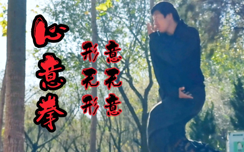 心意拳,形无形,意无意,无意之中是真意,整学乱用,灵活运用,以形化形,以意化意哔哩哔哩bilibili