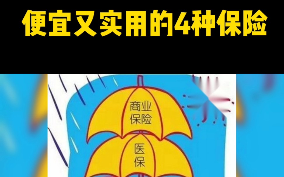 最实用又便宜的4种保险,1000块买齐!哔哩哔哩bilibili