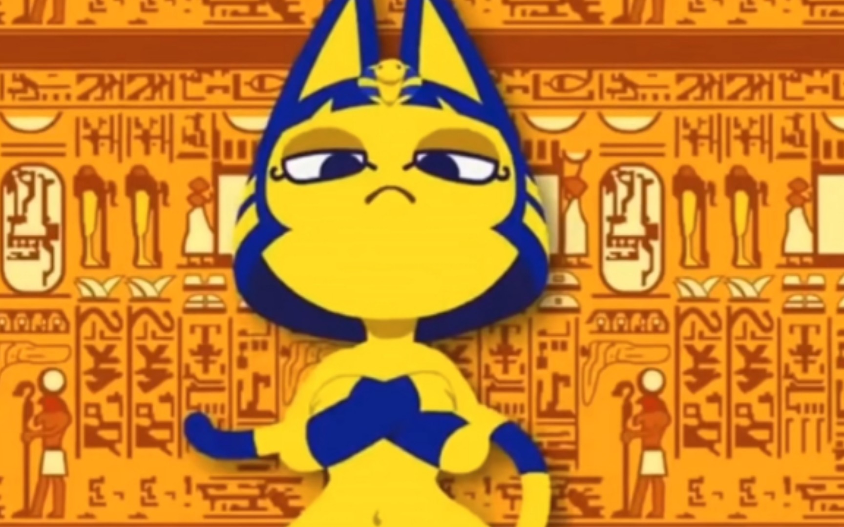 金字塔里的猫图片