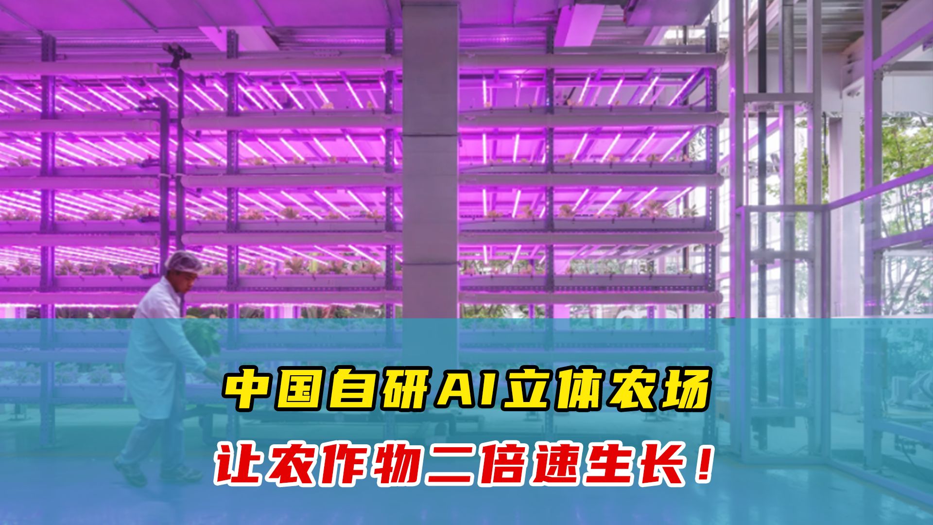 碾压日本!我国自研无人化垂直农场,16个机器人智能管理,年产50吨!哔哩哔哩bilibili