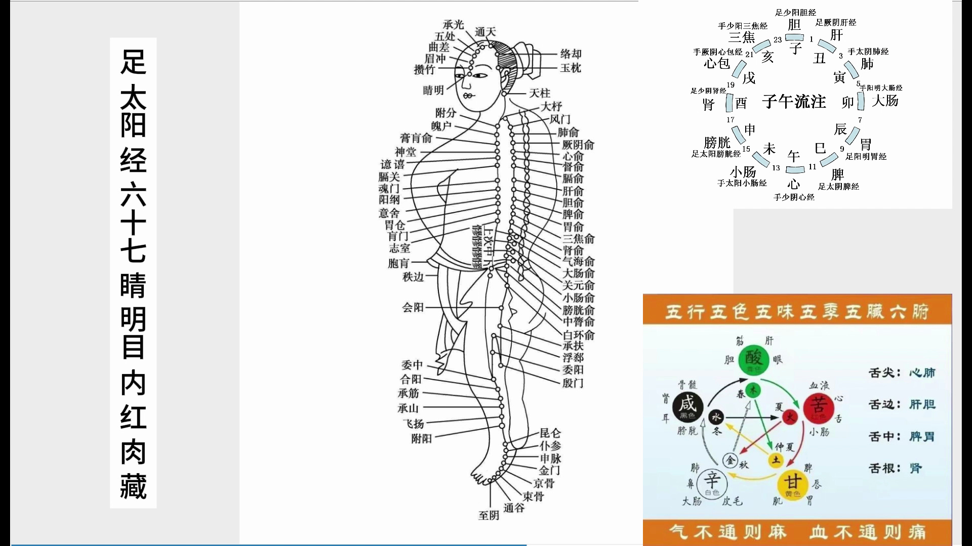 [图]足太阳膀胱经-----头皮发麻