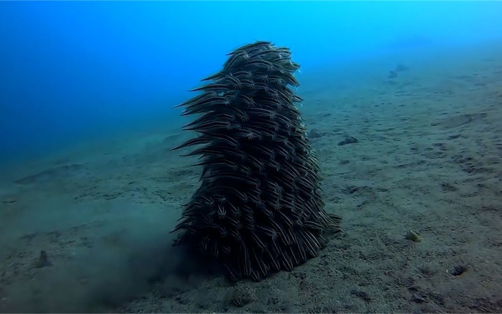 海底出现神秘人形生物,身躯巨大行走自如,这到底是什么东西?