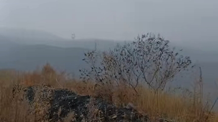 [图]晋普山曲径生幽意 远树平高丘山色空蒙处 一去独来往小鸦鸣喳喳 麦绿草枯黄万灵随所遇 任烟雨寒霜