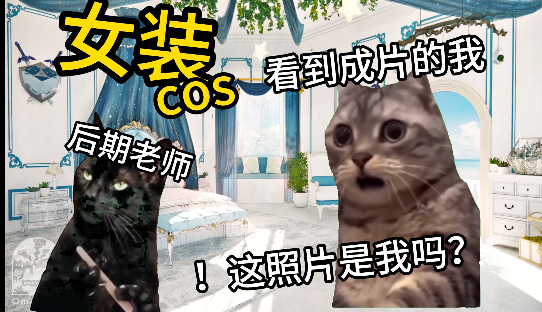 [图]【猫meme】关于我一个男生cos了芙宁娜这件事