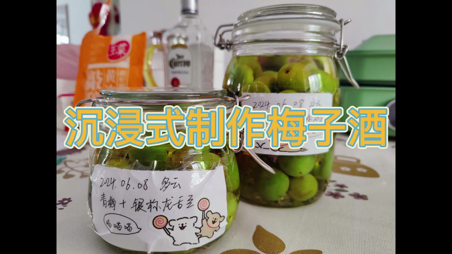 治愈系饮品!梅子酒制作教程哔哩哔哩bilibili