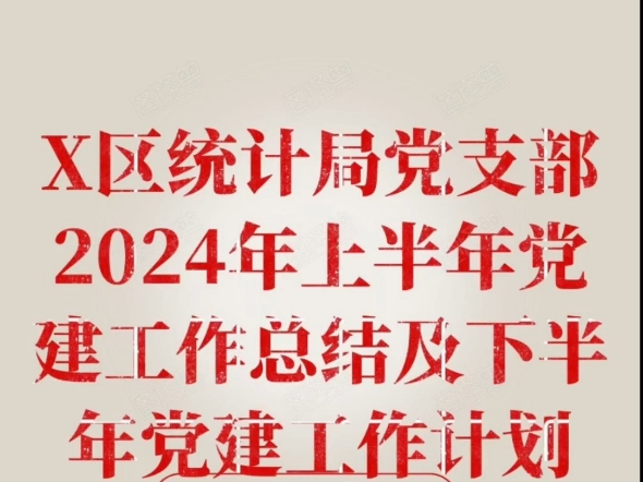 X区统计局党支部2024年上半年党建工作总结及下半年党建工作计划哔哩哔哩bilibili