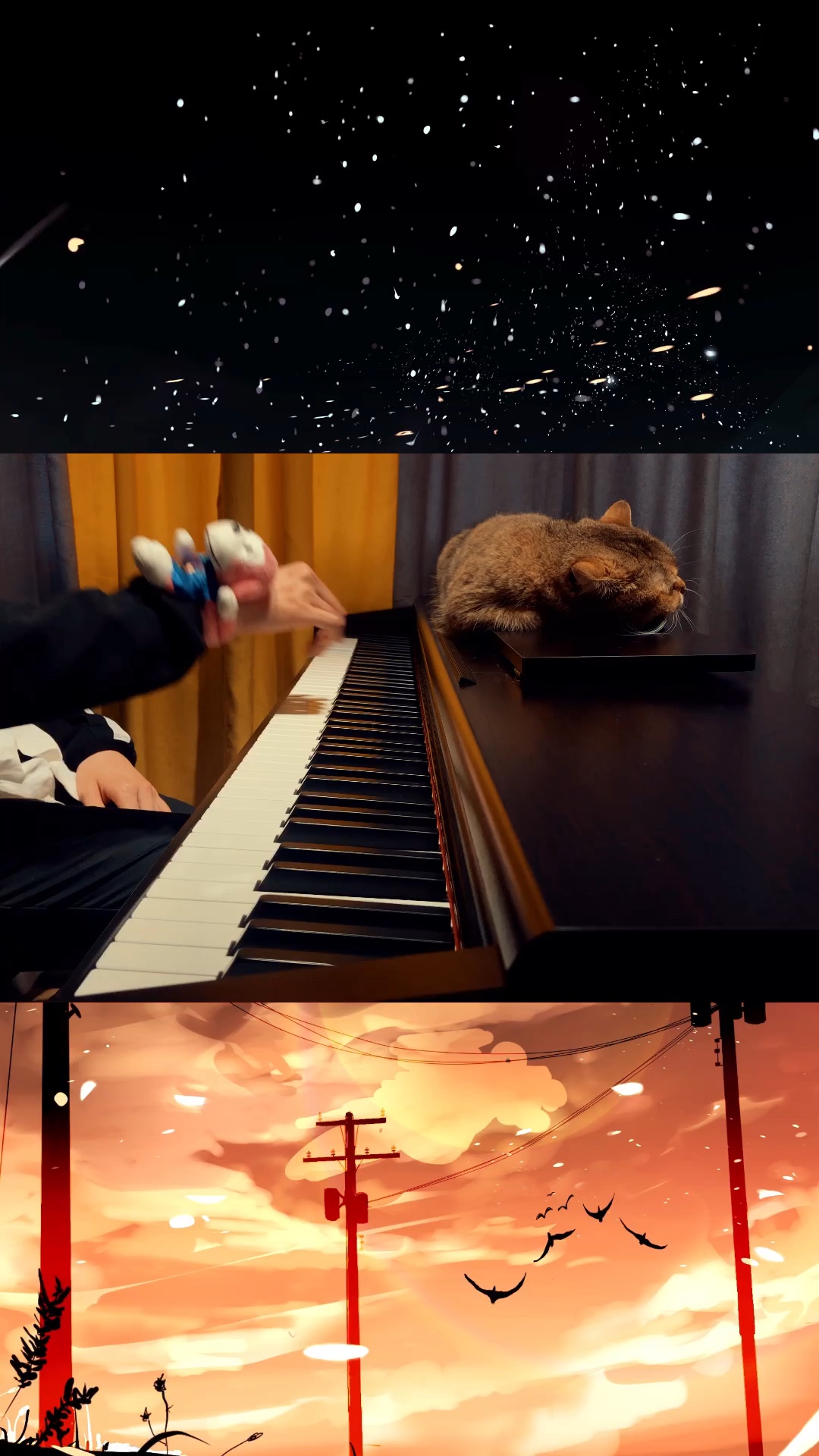 冬至了,记得给自己加鸡腿哦～爱你们#钢琴 #冬至 #错季 #秋塬依