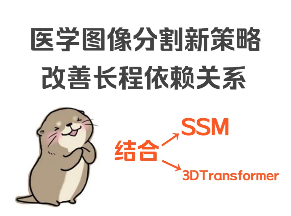 [图]医学图像分割方向：结合SSM or 3DTransformer，全新策略改善长程依赖关系