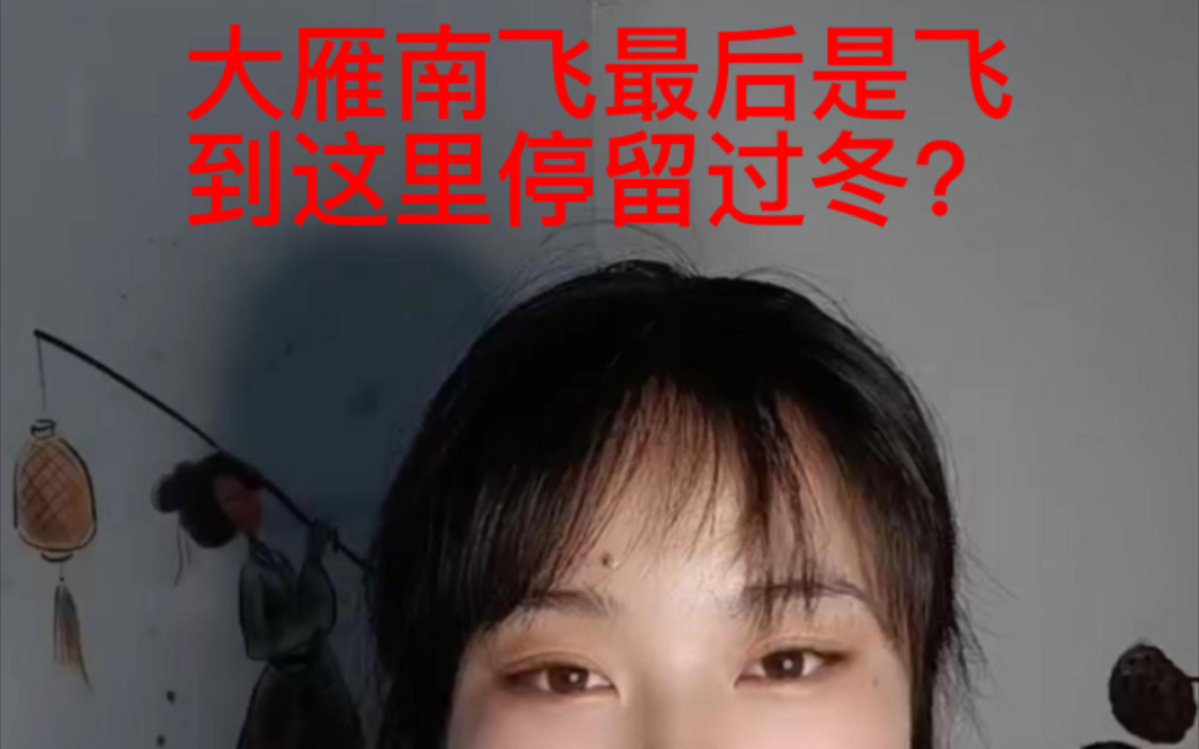 大雁南飞最后飞到了哪里?哔哩哔哩bilibili