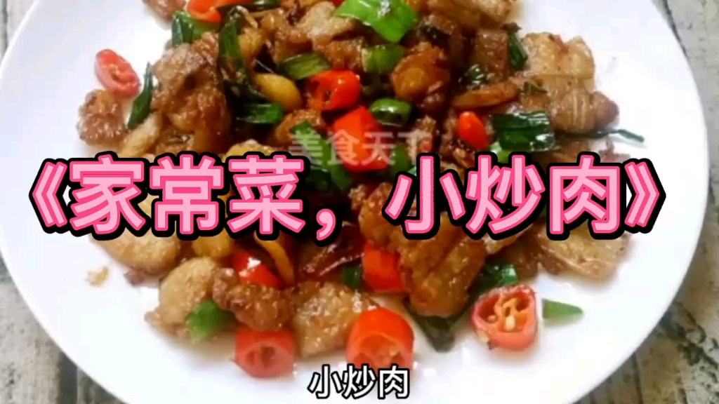 家常菜小炒肉哔哩哔哩bilibili