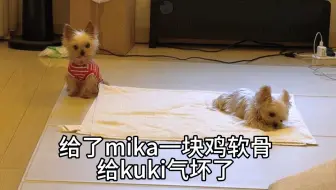 气鼓鼓的小狗 这谁顶得住啊