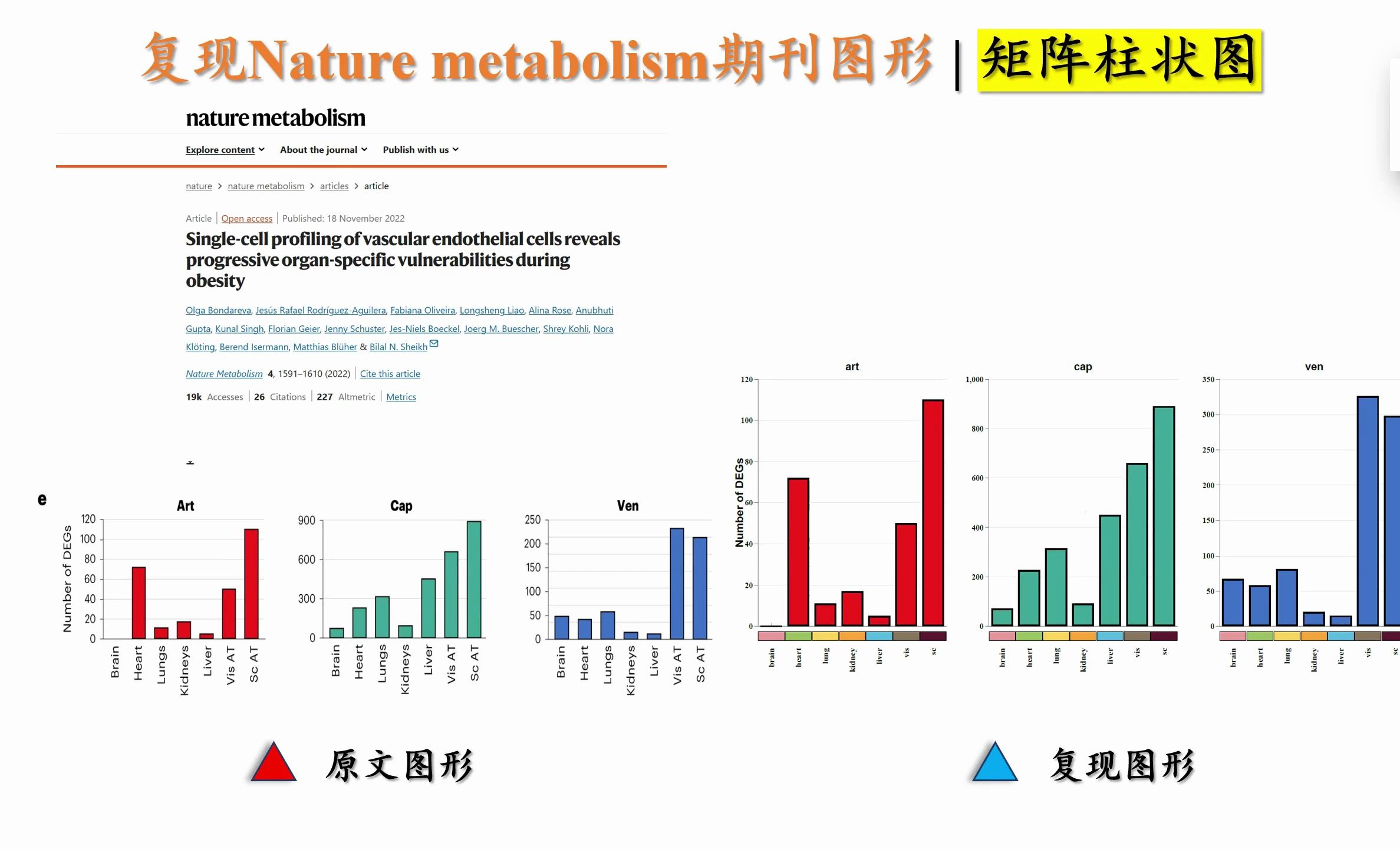 复现Nature metabo.期刊图形 | 矩阵柱状图哔哩哔哩bilibili