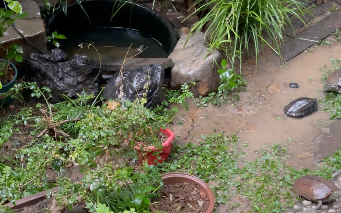 [图]2022.10.3郑州久违的雨！