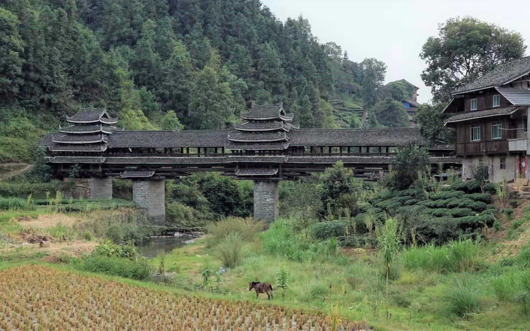 2019/09/26 独峒镇平流赐福桥_哔哩哔哩 (゜-゜)つロ 干杯~-bilibili