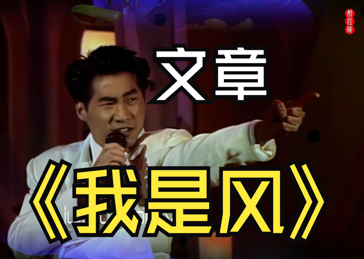 1990年春晚歌曲精选台湾歌手文章《我是风》我是风,匆匆与你相逢