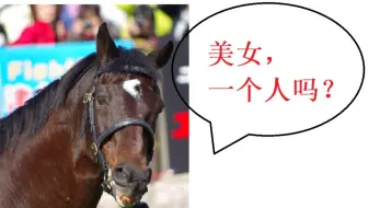 【赛马娘原型考据】鲁道夫象征的小秘密合集