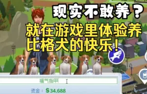 下载视频: 【模拟人生4】养狗就养比格犬！我在游戏里养了一大堆！——但真没办法实现他】它们的愿望！