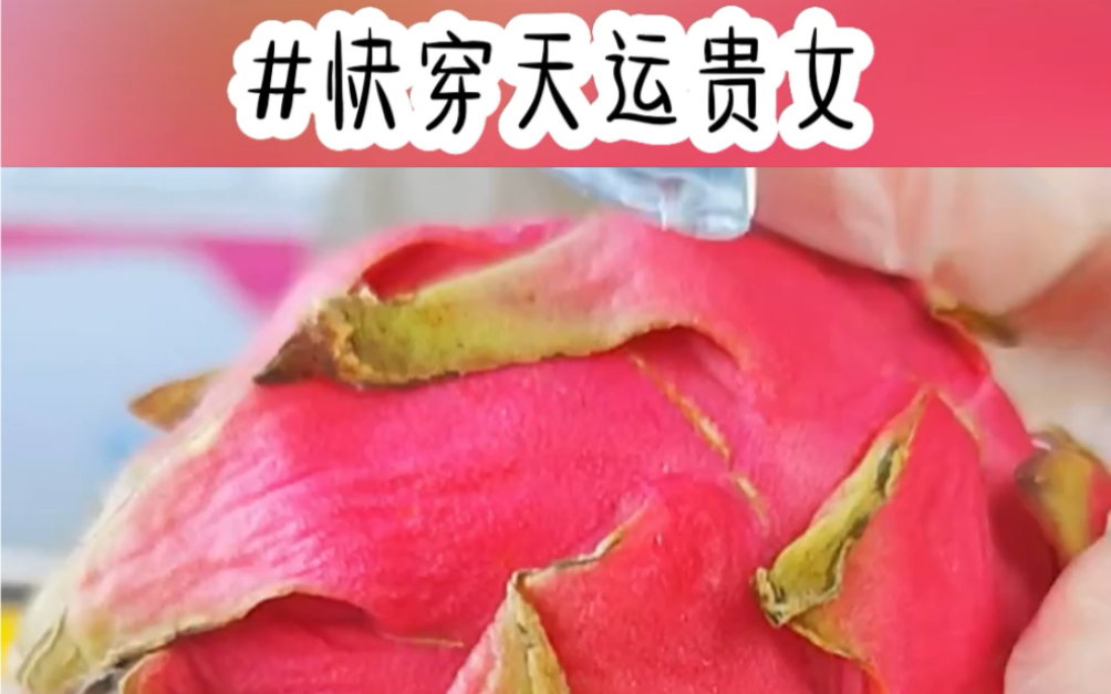 名《快穿天运贵女》小说推荐哔哩哔哩bilibili