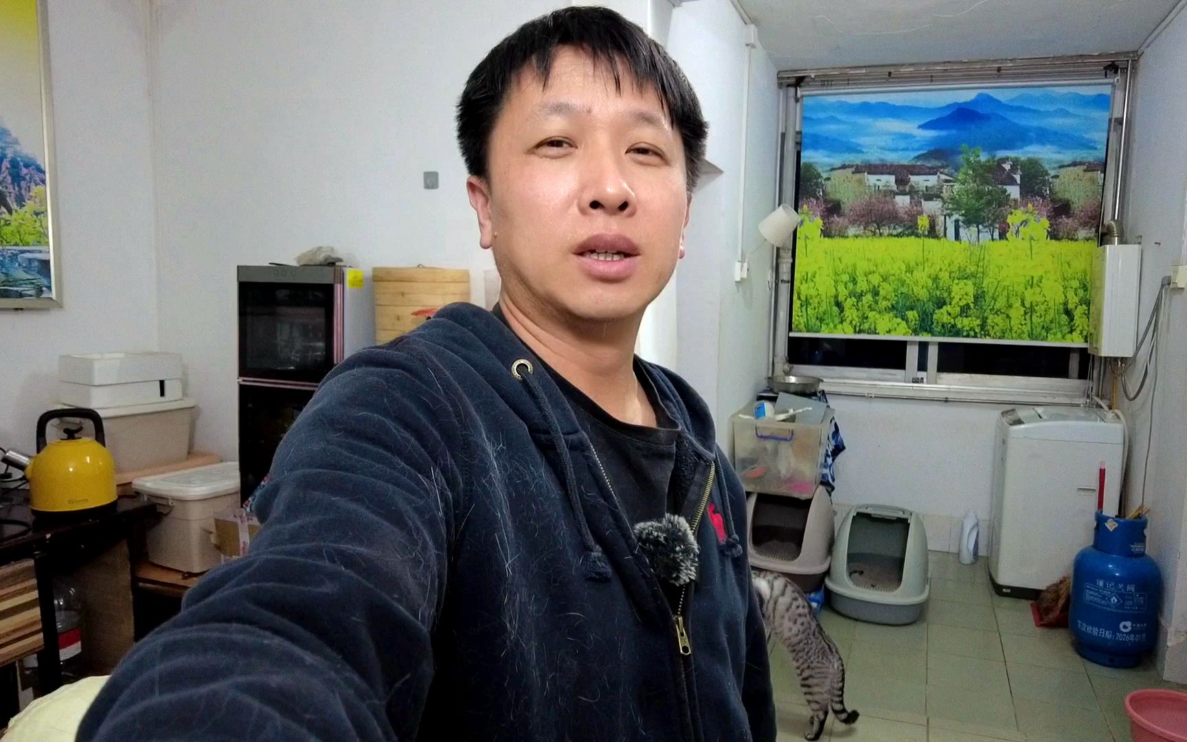 80后独居大叔,没男人爱也没女人爱无欲无望,养几只猫过日子