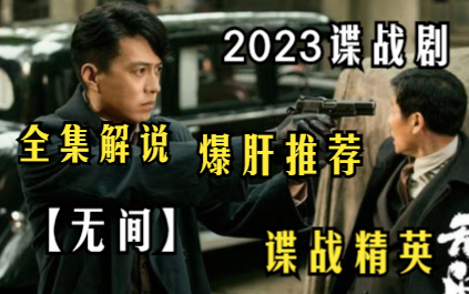 2023谍战剧【无间】靳东靳东和王丽坤化身谍战精英,爆肝推荐最新全集解说,抗日战争中汪伪政权时期,自幼在孤儿院长大的陆风奉命进入76号卧底待命...