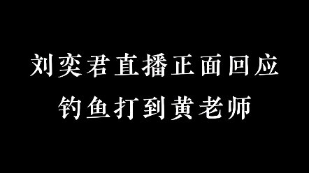 [图]刘奕君 向往的生活