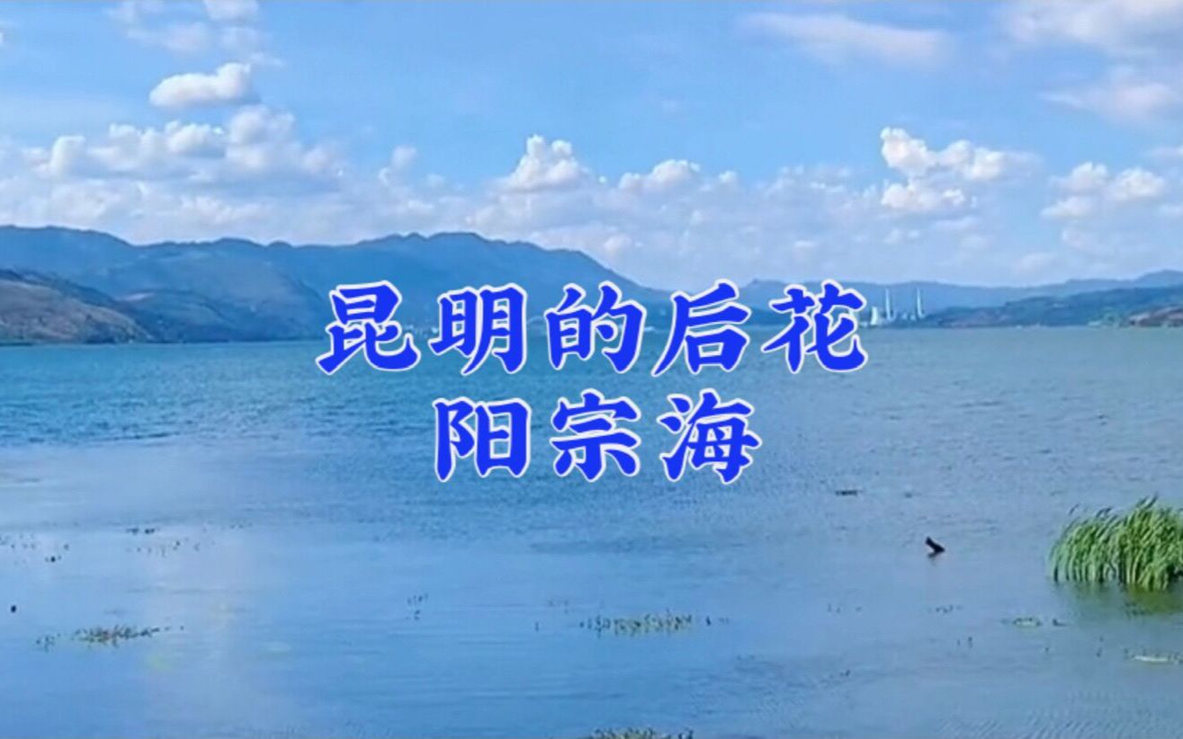 美丽恬静的阳宗海,风光旖旎的高原明珠,昆明美不胜收的后花园哔哩哔哩bilibili