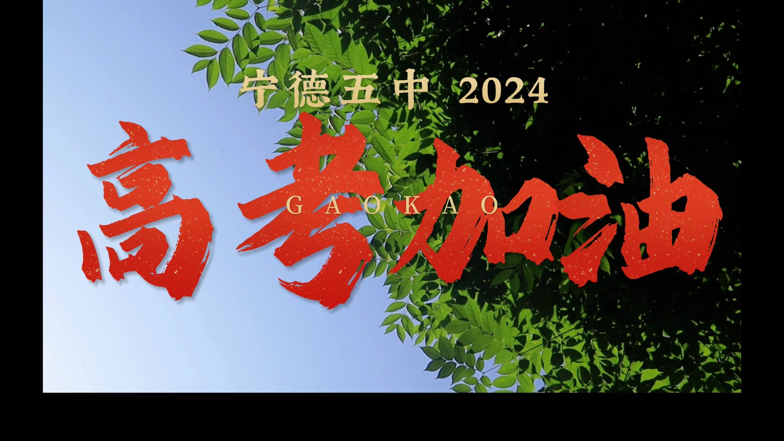 [希君生羽翼 一化北鱼]宁德五中2024高考加油视频 祝愿所有考生金榜题名!哔哩哔哩bilibili