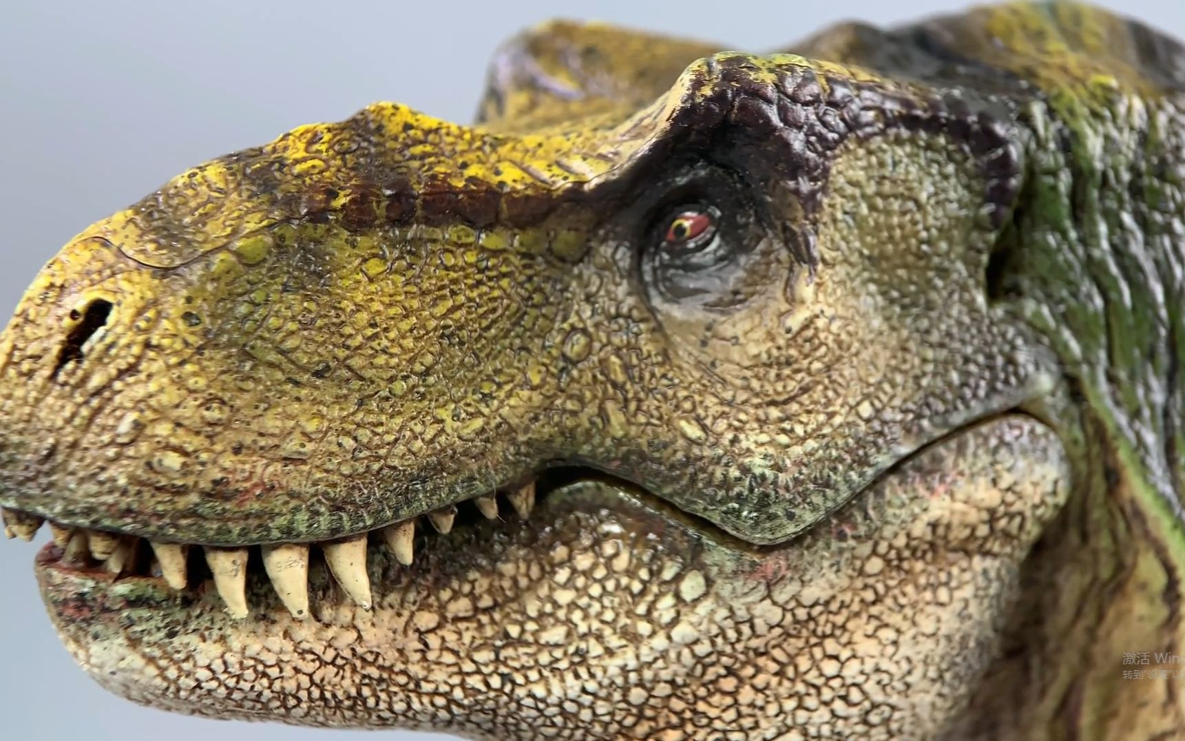超棒的涂装!itoy2019 绿色暴龙 霸王龙【布说模玩001】