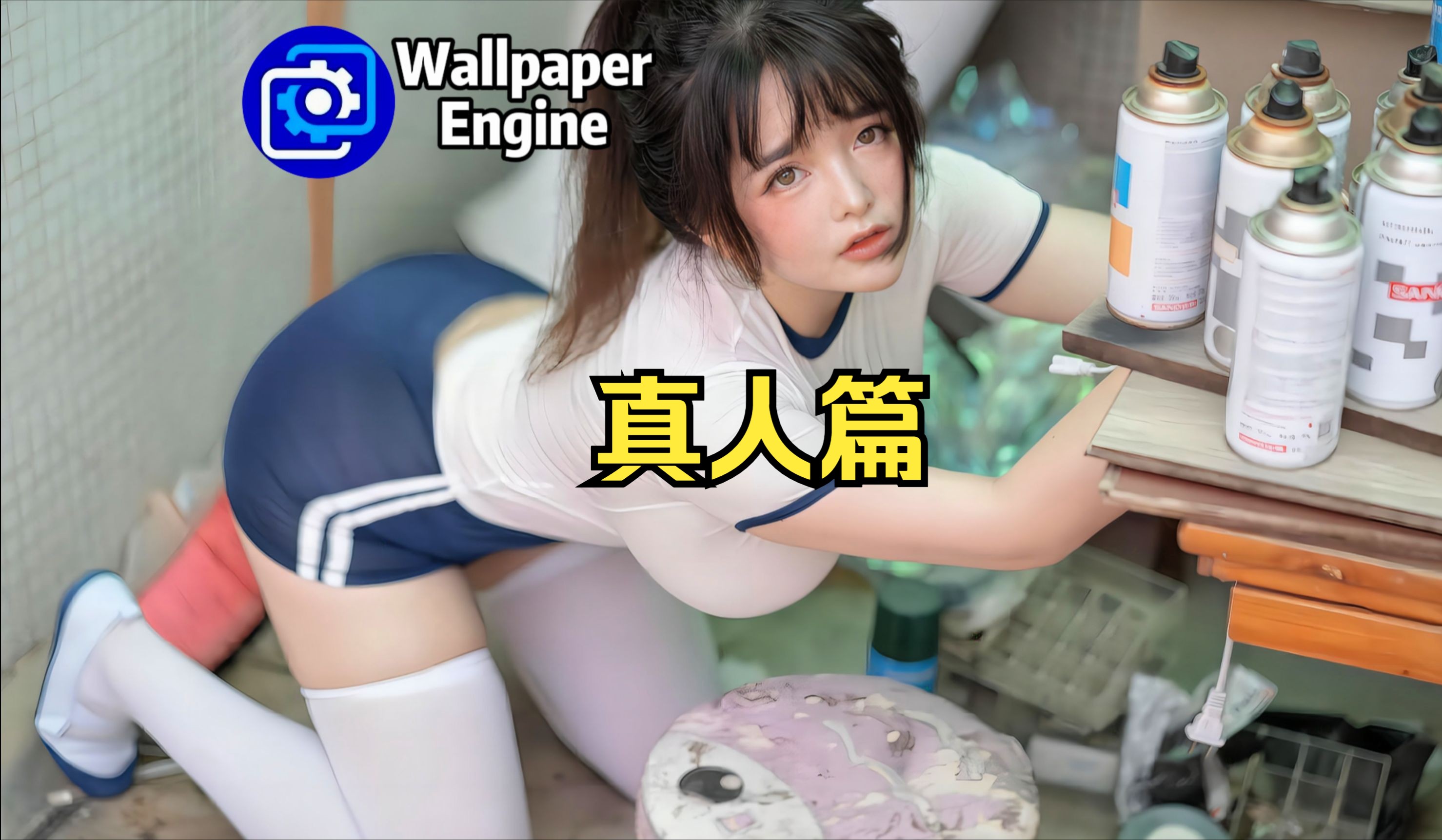 【Wallpaper Engine】壁纸推荐 真人篇哔哩哔哩bilibili