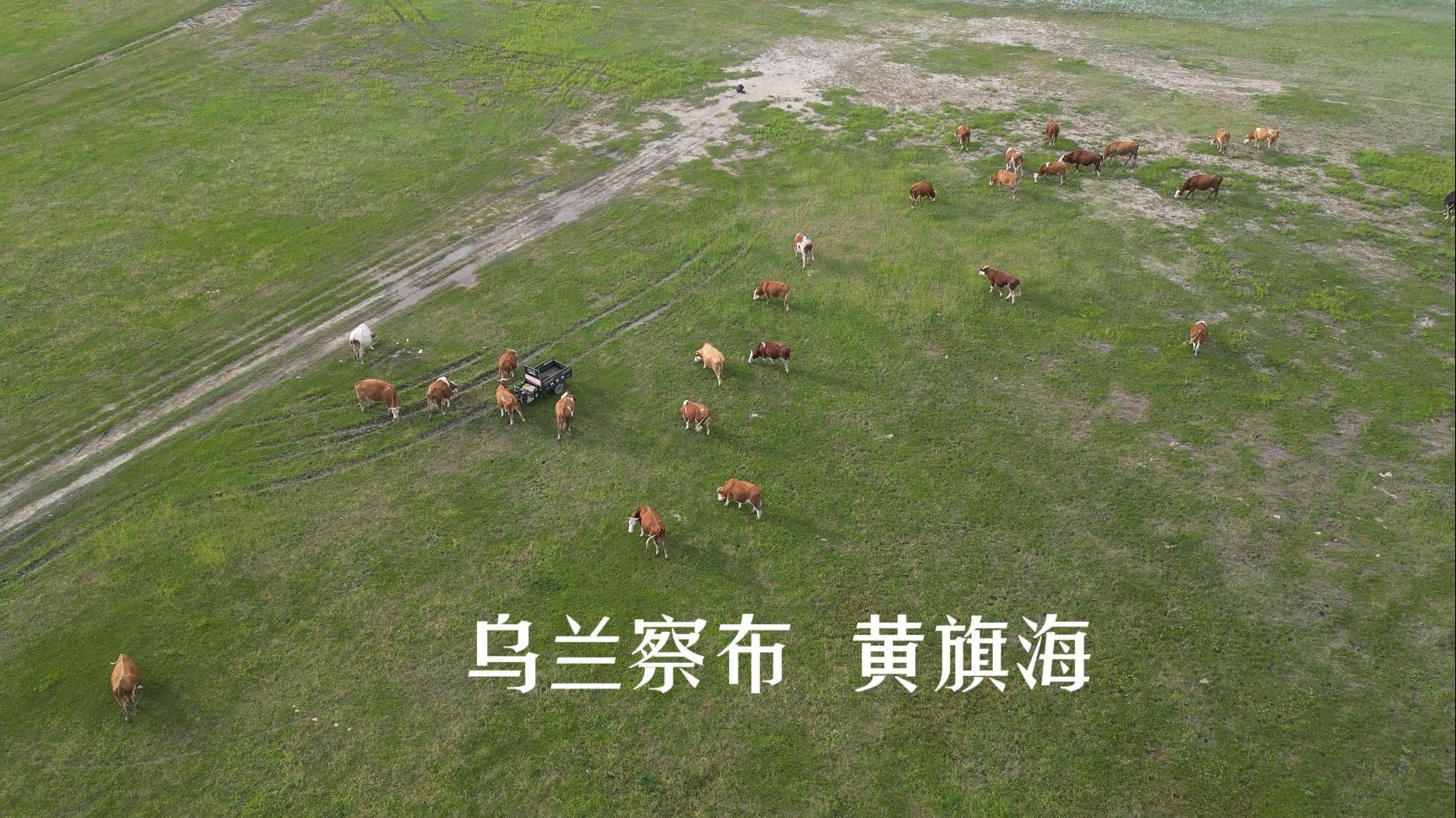 20250713 乌兰察布黄旗海