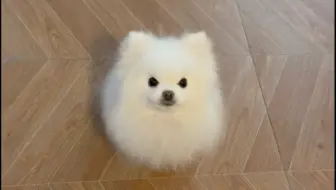 宝宝、没有脚脚、、、