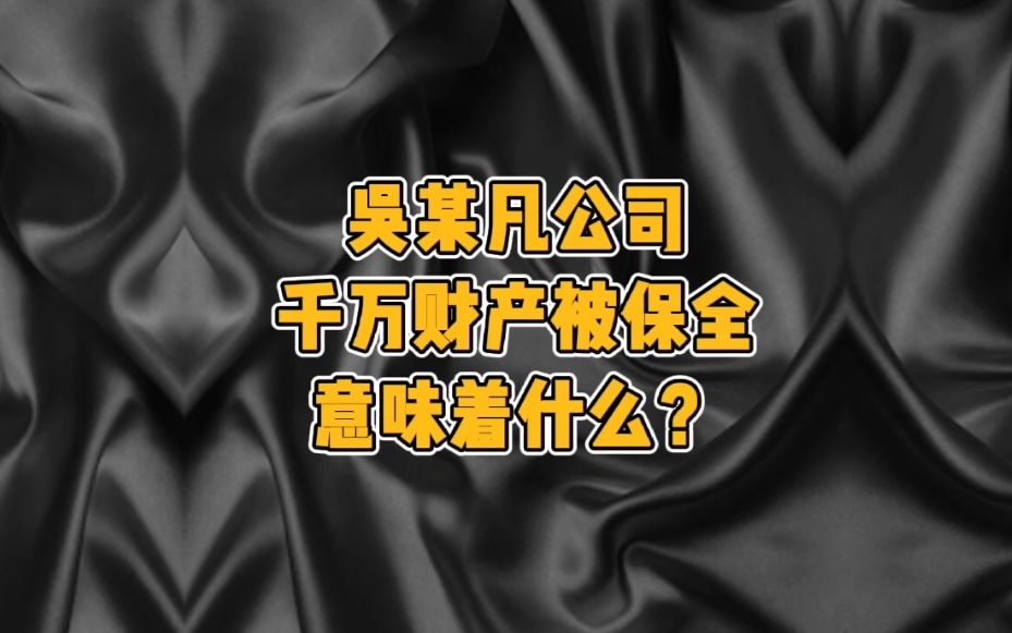 吴某凡公司千万财产被保全意味着什么?哔哩哔哩bilibili