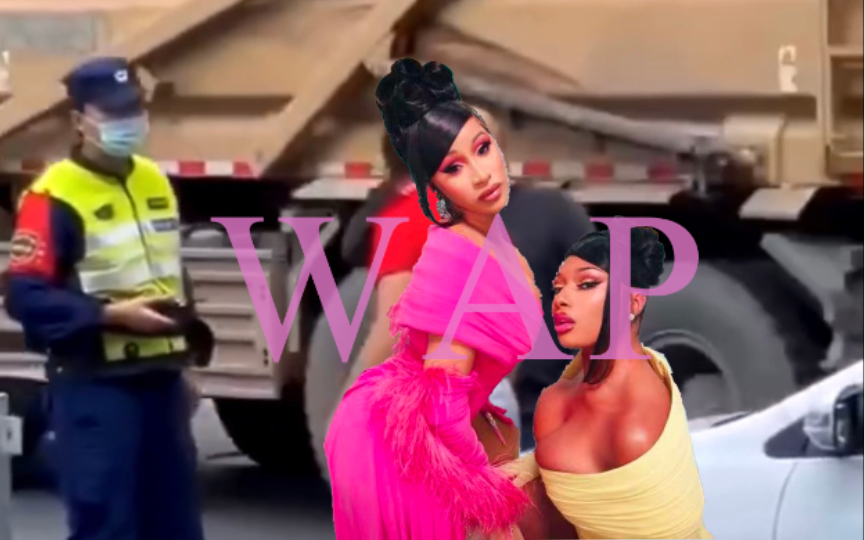 疑似《WAP》MV拍摄花絮视频泄出 Cardi B & Megan Thee Stallion哔哩哔哩bilibili