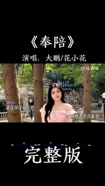 音乐《奉陪》哔哩哔哩bilibili