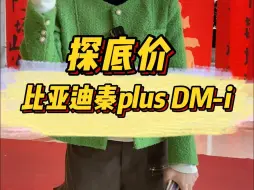 探底价比亚迪秦plus DM-i