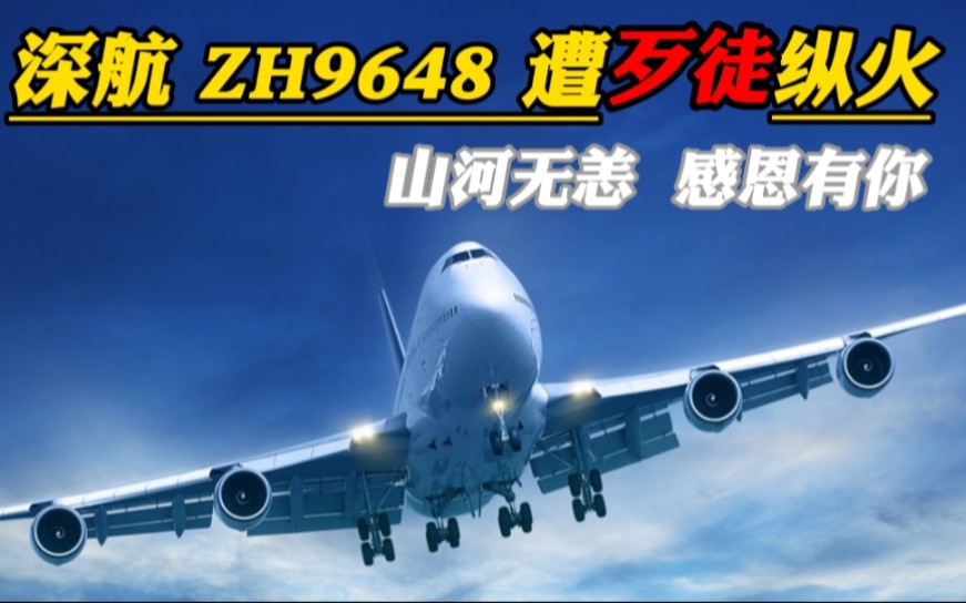 回顾深航ZH9648航空事件,歹徒持刀在机舱内纵火,空姐高喊:相信我们!哔哩哔哩bilibili