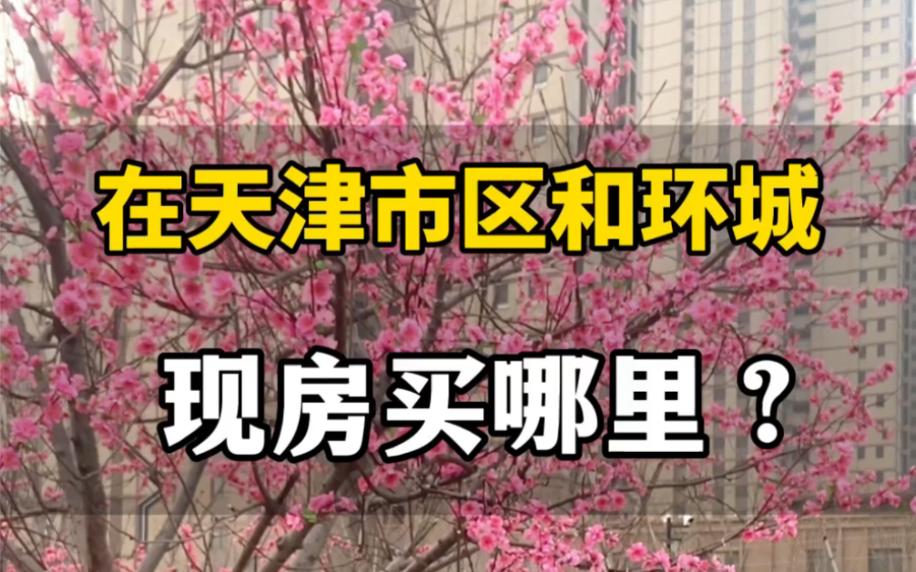 现在买房你关心的是不是交房问题?盘点天津市内六区和环城四区的现房楼盘,看看有你喜欢的吗?#天津房产 #天津买房 #辞旧迎新置新家哔哩哔哩bilibili