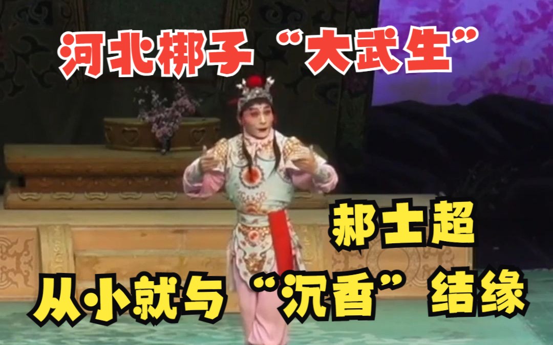 河北梆子“大武生”郝士超:我从小就与“沉香”结缘哔哩哔哩bilibili