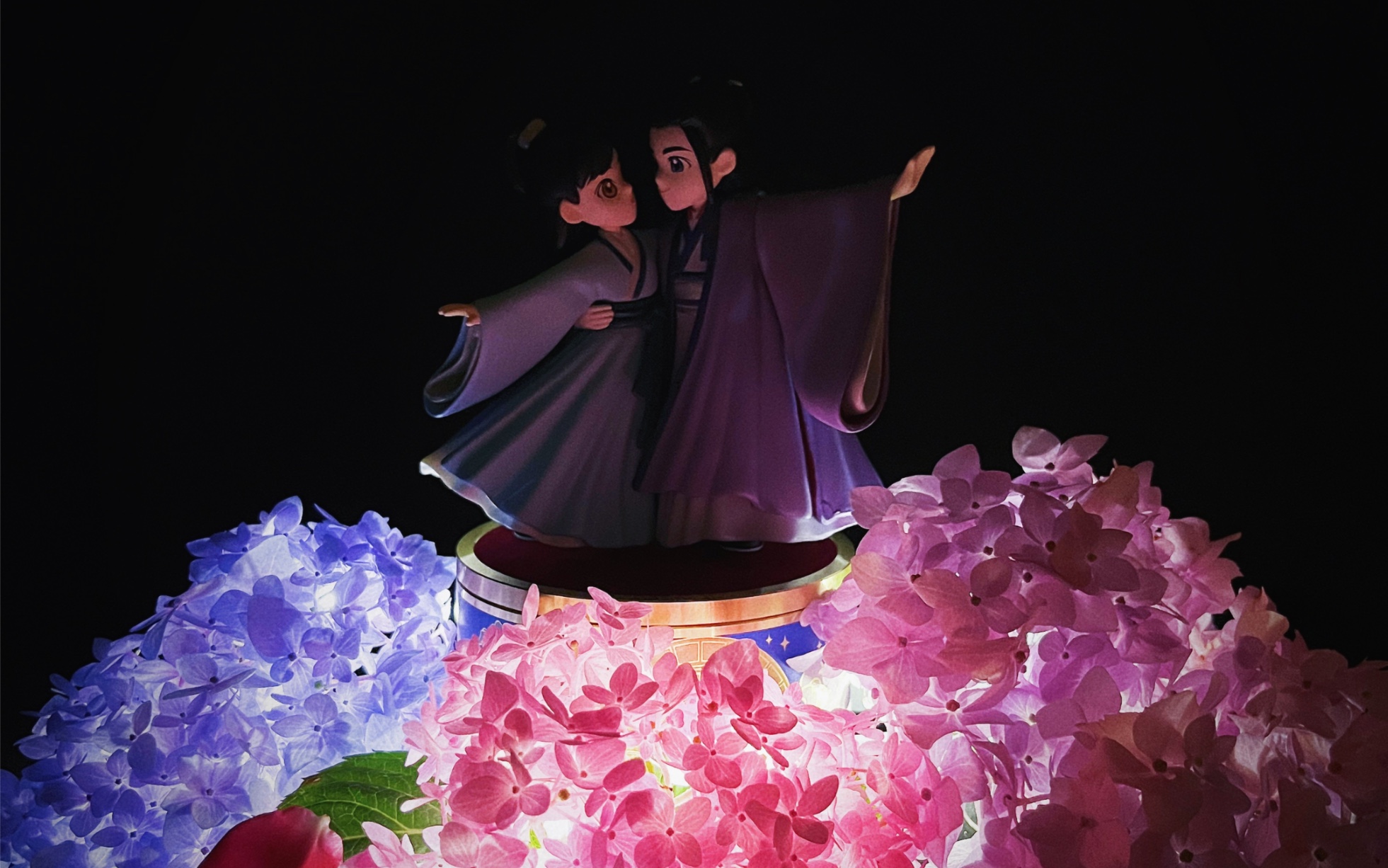 转圈圈柑橘栀子花