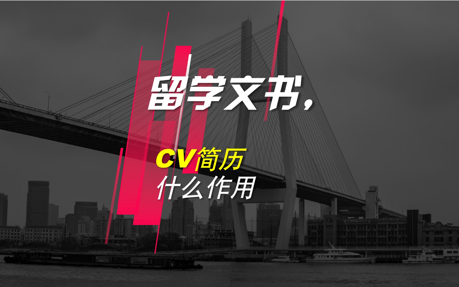 留学文书写作,CV个人简历哔哩哔哩bilibili