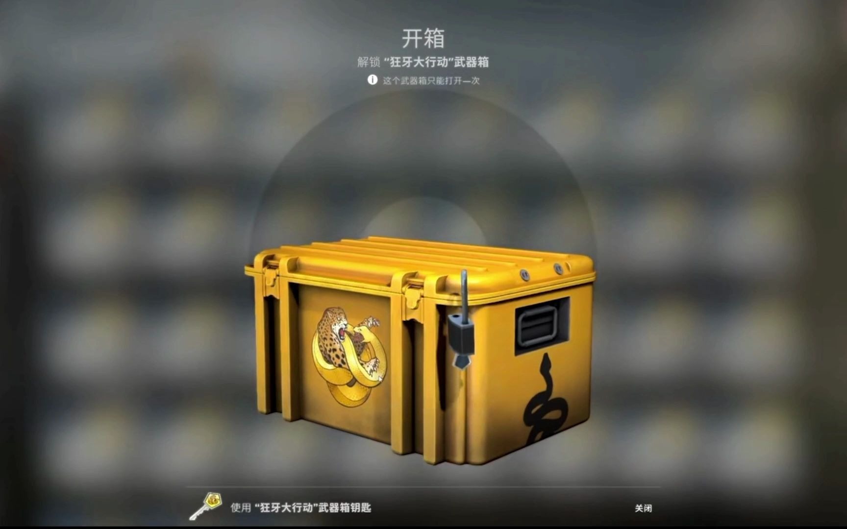 csgo开箱专用图图片