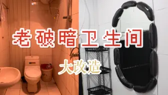 【出租房改造】300元改造老破小卫生间，重口味变气质简约风