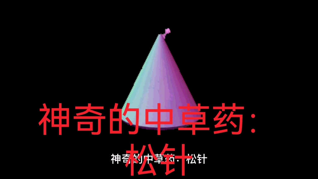 神奇的中草药:松针哔哩哔哩bilibili