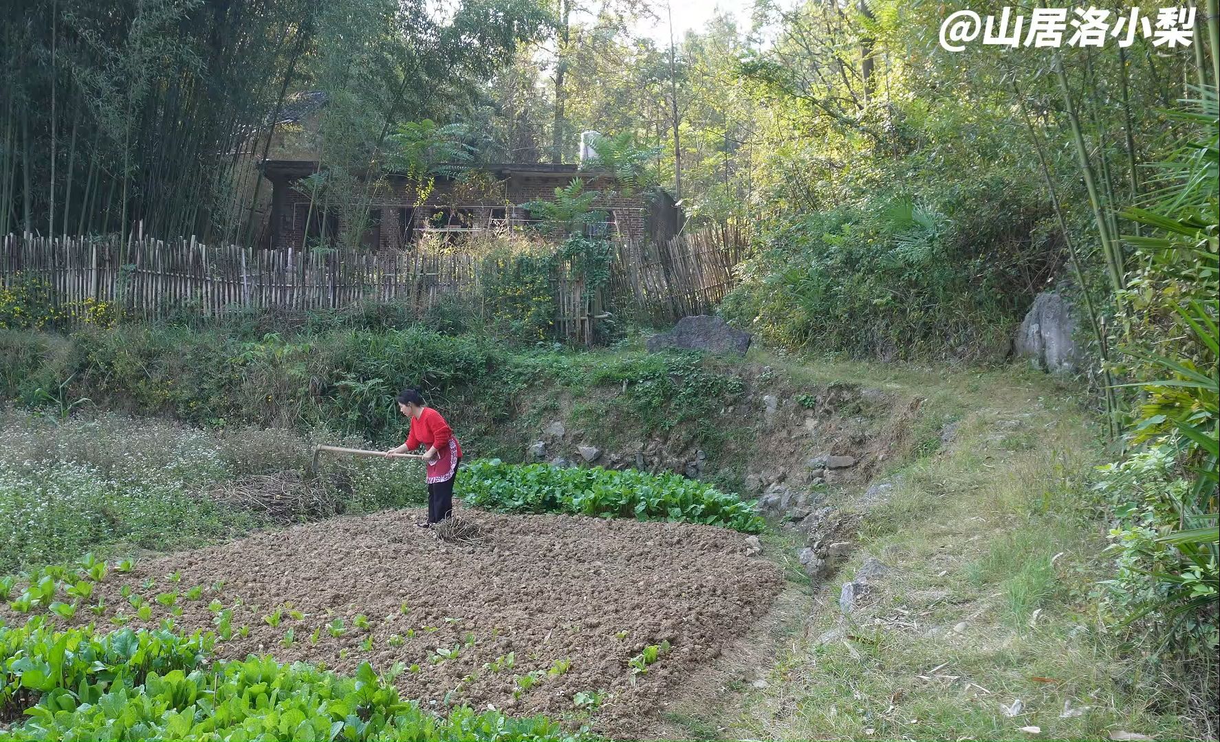 湖南小梨山居生活图片